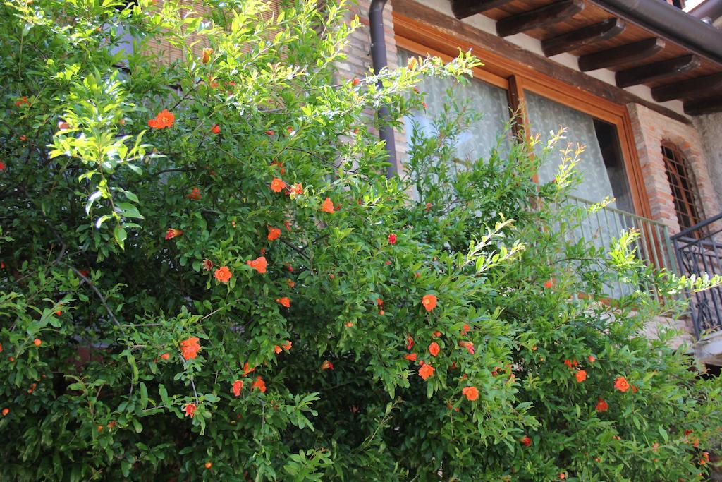 B&B Il Melograno Del Garda Padenghe sul Garda Exterior photo