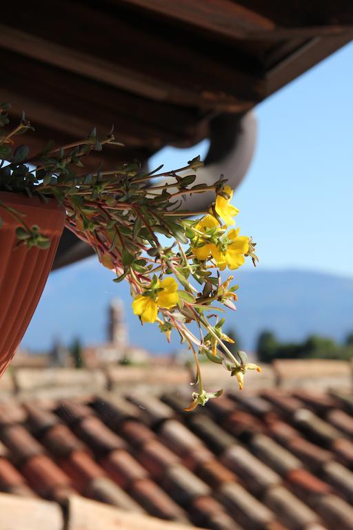 B&B Il Melograno Del Garda Padenghe sul Garda Exterior photo